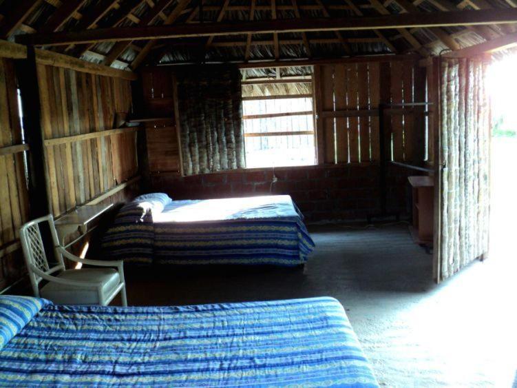 Cabanas Pie De La Cuesta Hotel Coyuca Værelse billede